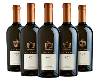 Villa Pani Gavi Box Offer