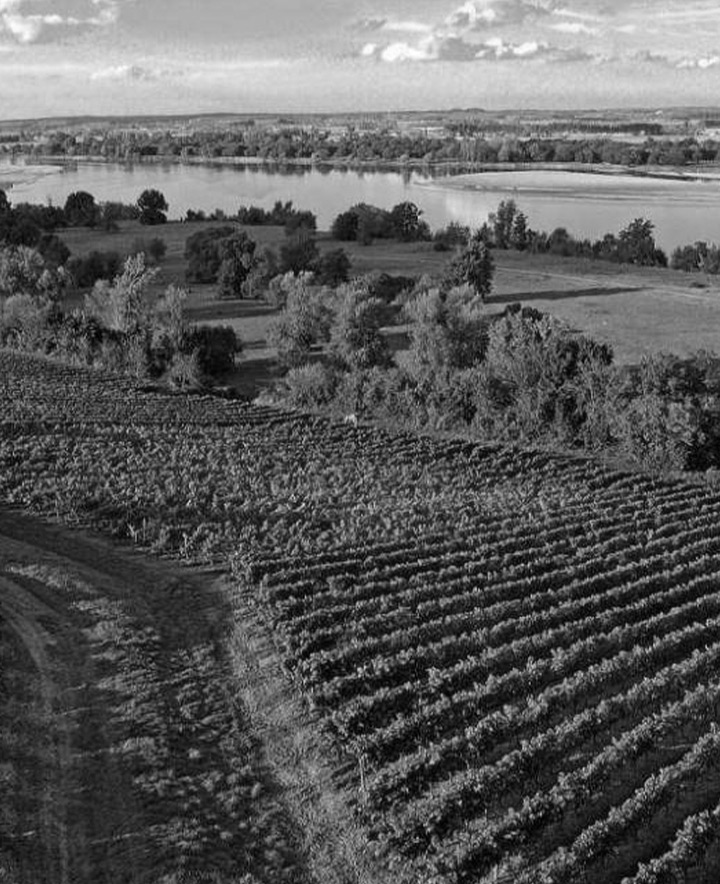 Les Terrassess Chateauneuf du Pape 2019