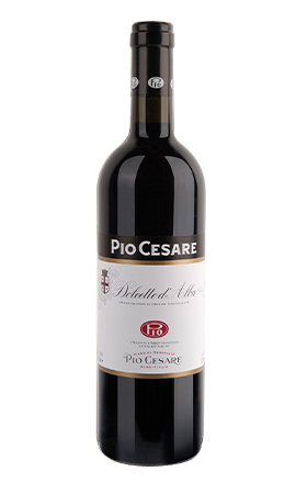 Pio Cesare Dolcetto d'Alba 2023