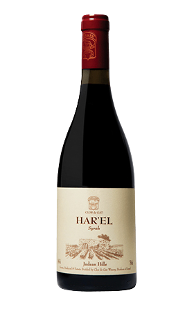 Clos de Gat Har'el Syrah 2020