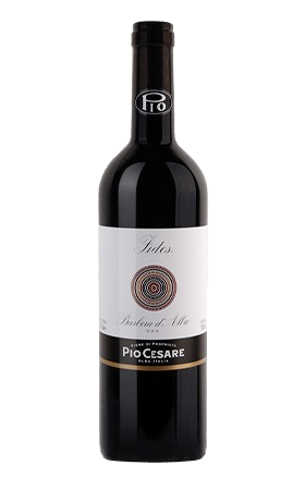 Pio Cesare Fides Barbera 2010