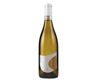 Umberto Cesari Romagna Albana Secco 2025